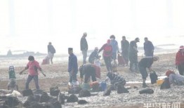 赶海视频爆料,揭秘海洋宝藏的神秘之旅